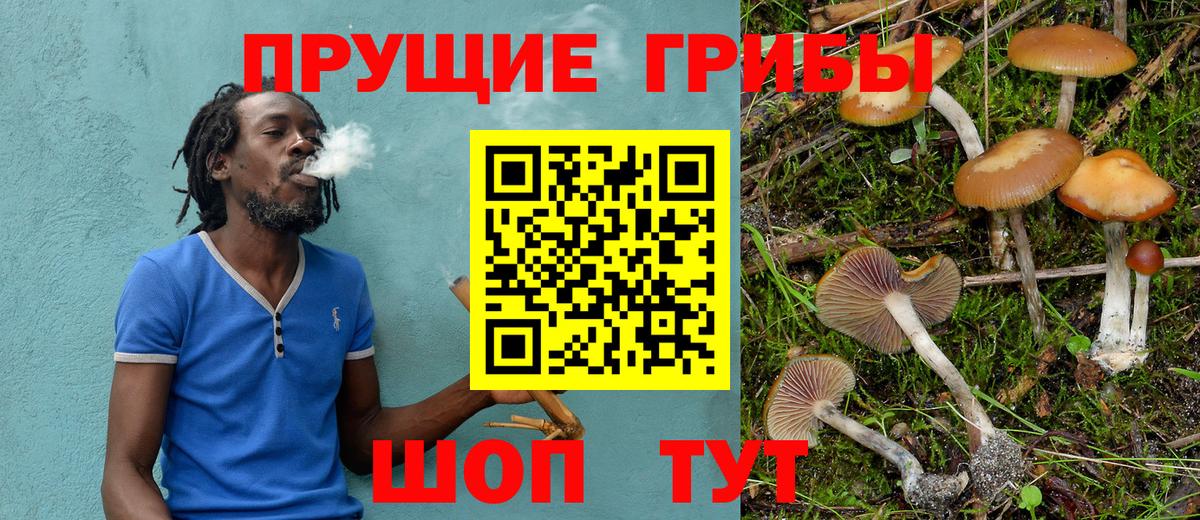 Псилоцибиновые грибы мицелий  Псилоцибиновые грибы Psilocybine cubensis  Вход с VPN  Домодедово 