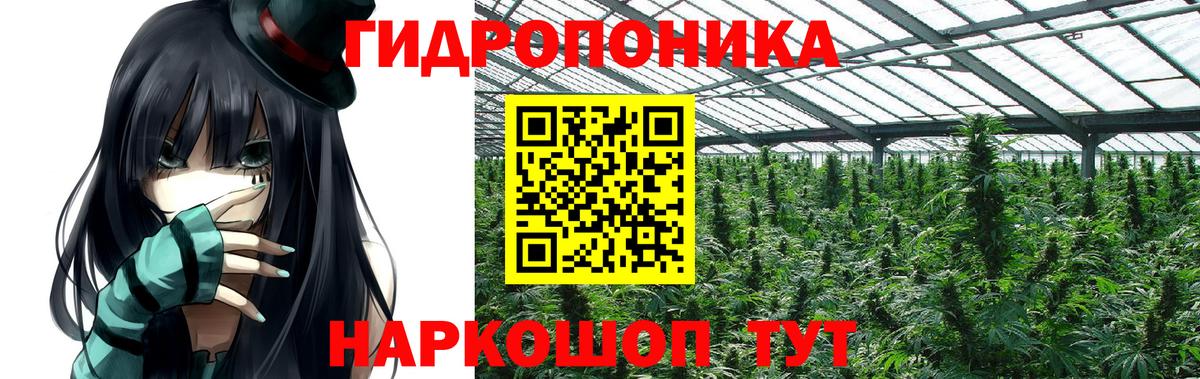 Бошки марихуана MAZAR Домодедово